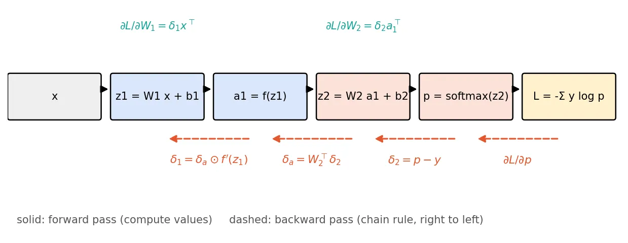 A row of boxes from left to right: x, z1 equals W1 x plus b1, a1 equals f of z1, z2 equals W2 a1 plus b2, p equals softmax of z2, and L equals minus sum y log p, linked by solid forward arrows. Below, dashed arrows run right to left, labeled dL/dp, delta2 equals p minus y, delta-a equals W2 transpose delta2, and delta1 equals delta-a times f prime of z1. Above, the weight gradients dL/dW2 equals delta2 a1 transpose and dL/dW1 equals delta1 x transpose.