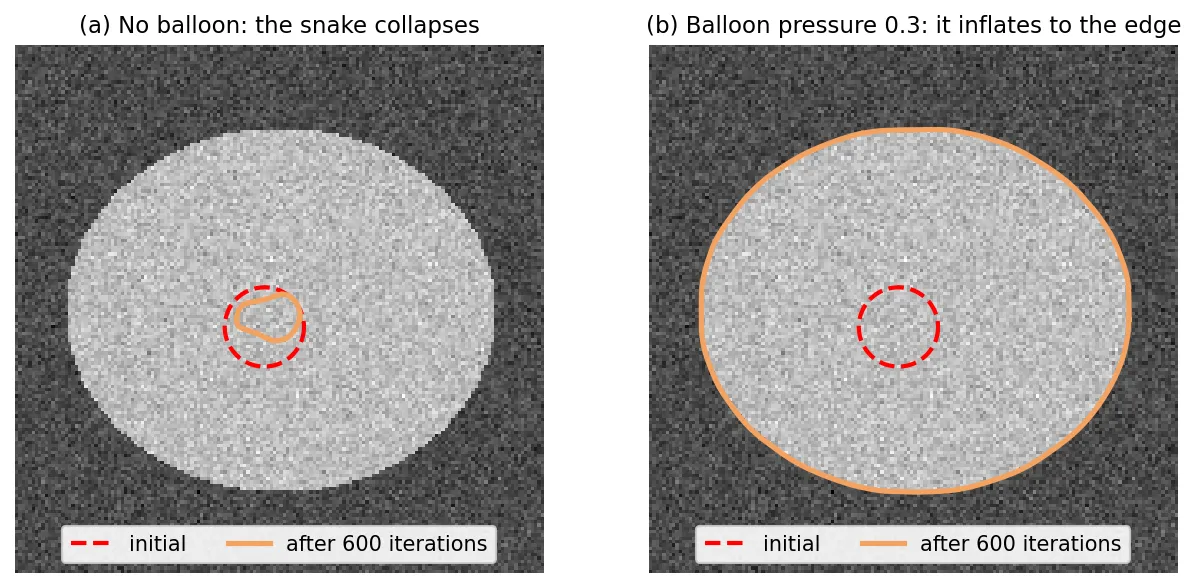 A bright noisy ellipse. Left: a small snake started inside the ellipse shrinks into a small blob. Right: with balloon pressure the snake expands and stops on the ellipse boundary.