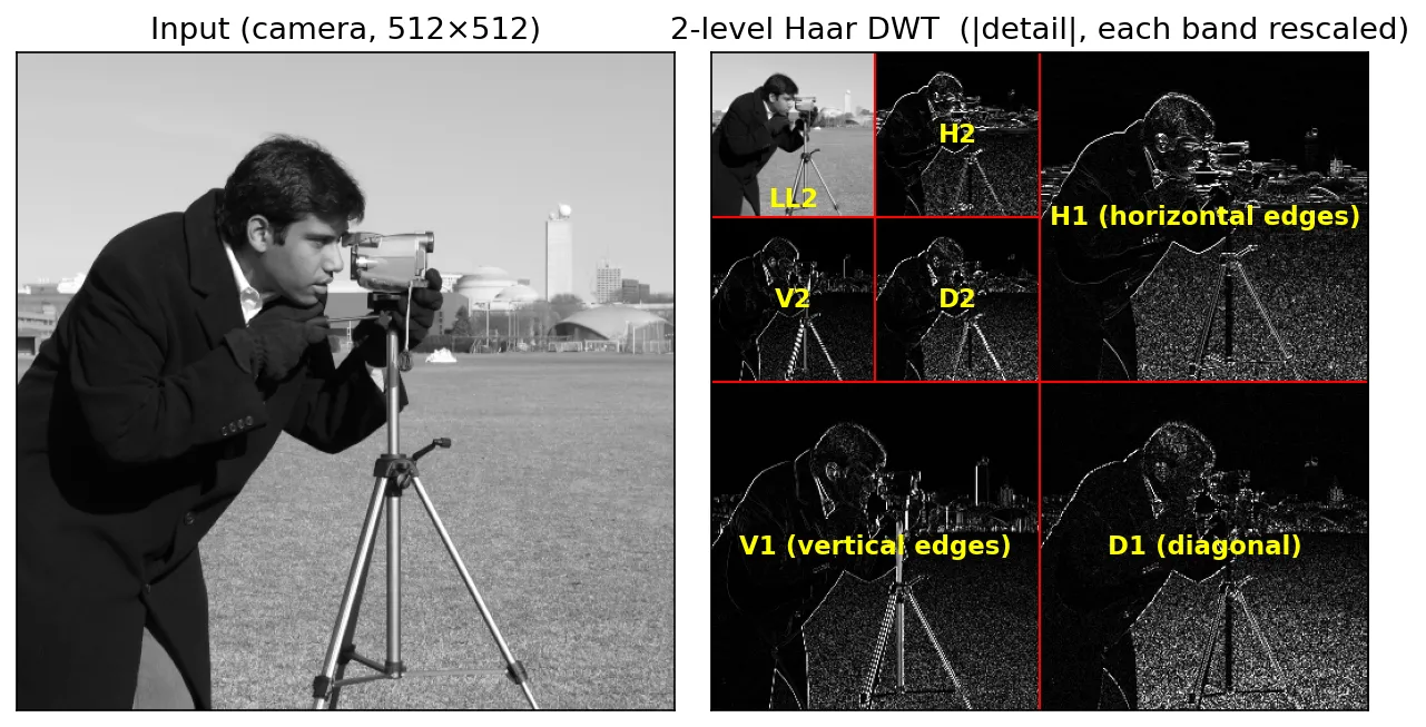 Left: the camera test image. Right: its two-level Haar decomposition, with a small approximation image in the top-left corner and detail bands showing edges in horizontal, vertical and diagonal directions.