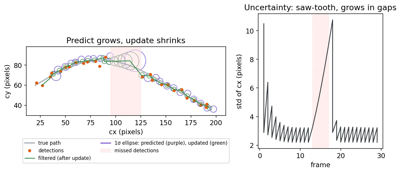 Left: a curved trajectory with noisy detections, predicted uncertainty ellipses in purple and smaller updated ellipses in green; during a five-frame gap the predicted ellipses grow and the estimate continues in a straight line. Right: the standard deviation of cx over time shows a saw-tooth pattern and a steep rise during the gap.