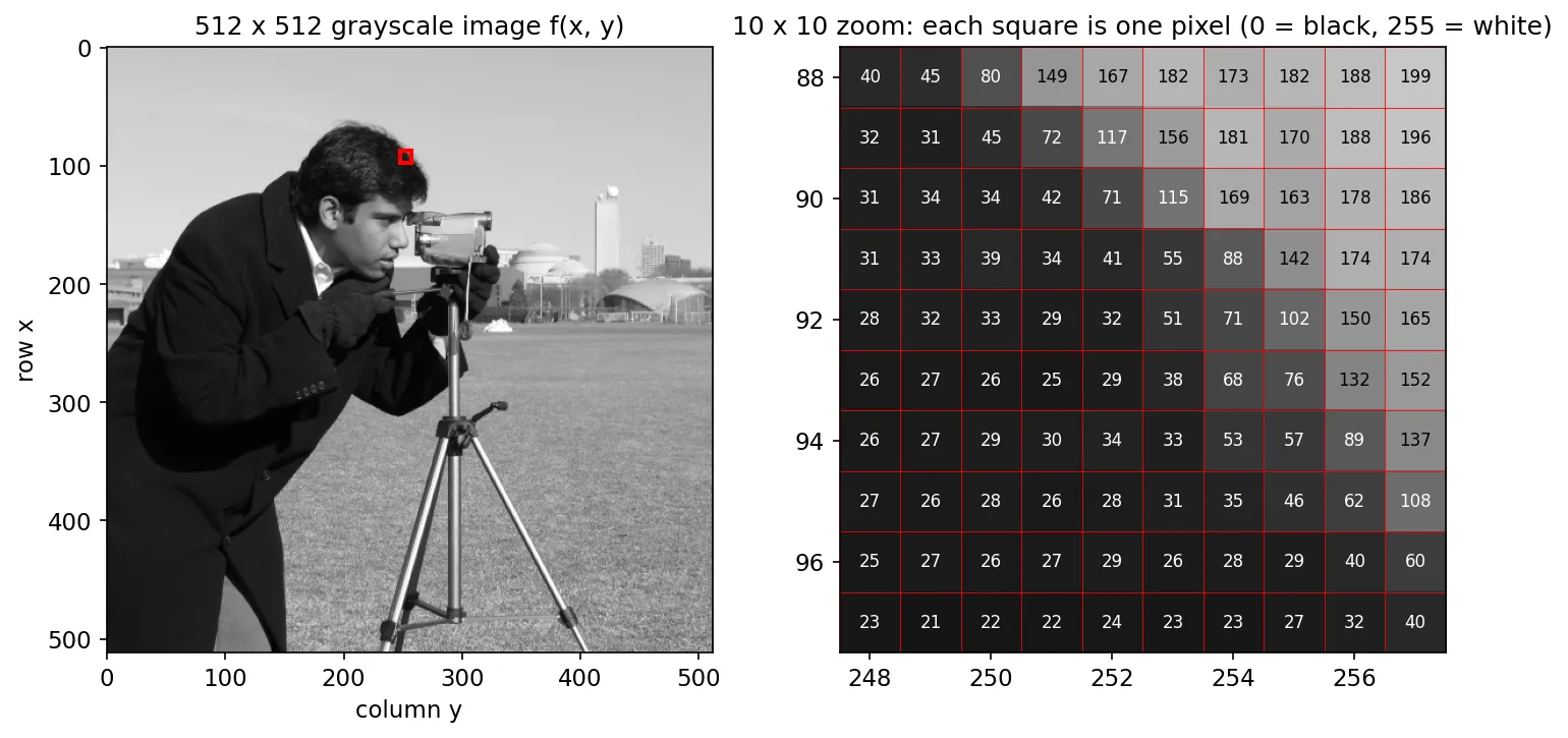 The cameraman test image with a small red square marking a 10 by 10 patch, and the zoomed patch with each pixel's numeric gray value printed inside it