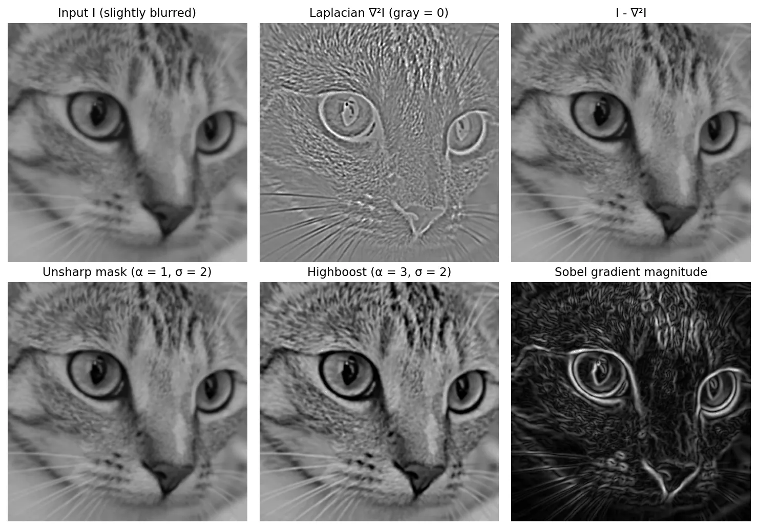 Six images of a cat's face: a slightly blurred input; a mostly gray Laplacian response with fur and whisker texture; the Laplacian-sharpened image; unsharp masking; a stronger highboost result with crisp whiskers and slight halos; and the dark Sobel gradient magnitude with bright outlines around the eyes and whiskers.