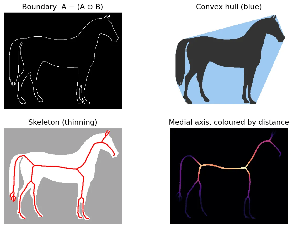 Four panels: the boundary of the horse, its convex hull in light blue around the dark horse, the thinning skeleton in red over the horse, and the medial axis coloured by distance to the boundary.