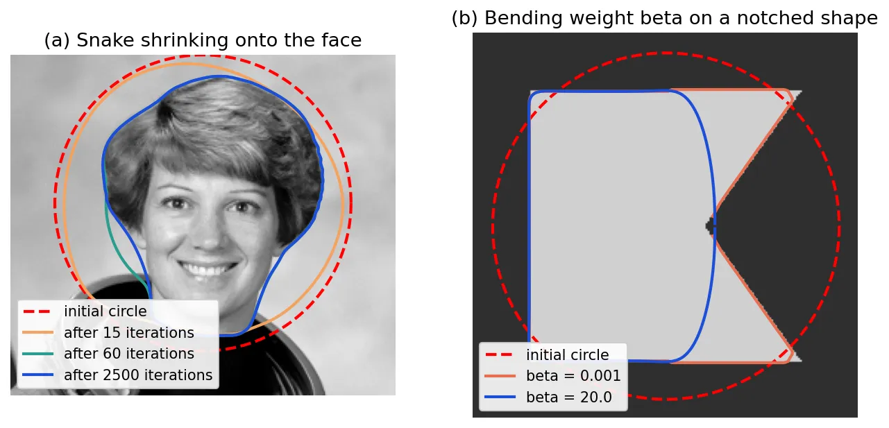 Left: a red dashed circle around the astronaut's head and three snakes shrinking onto the outline of her hair and face. Right: a square with a V-shaped notch; a low-beta snake follows the notch and corners, a high-beta snake cuts straight across the notch.