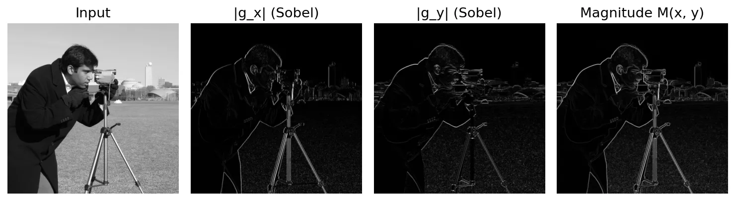 Cameraman image with the absolute Sobel x and y responses and the gradient magnitude