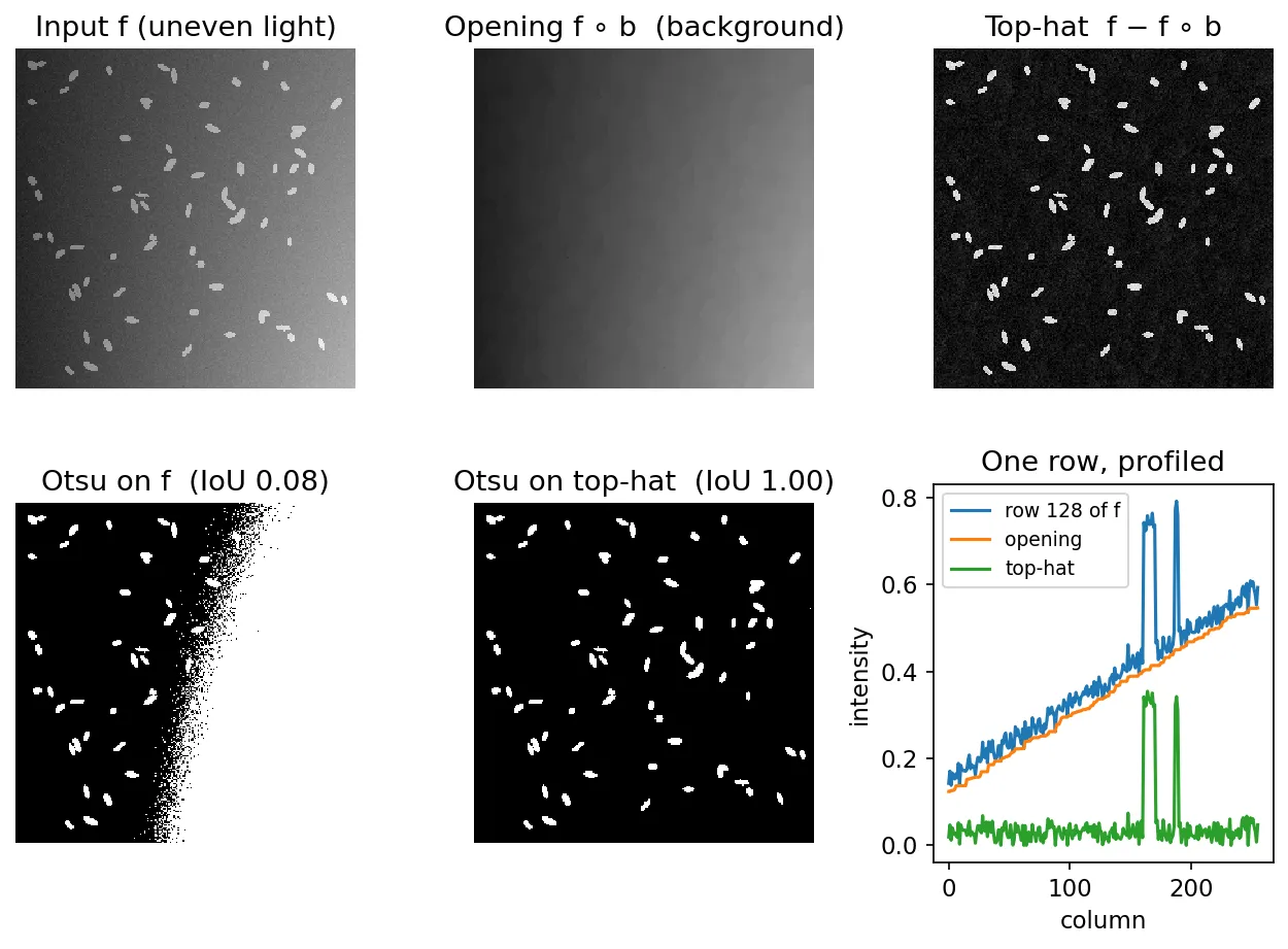 Six panels: grains on a background that brightens to the right; the opening, which estimates the background; the top-hat result with flat background; Otsu thresholding of the input (fails on the right side); Otsu thresholding of the top-hat (clean); and a row profile of input, opening and top-hat.