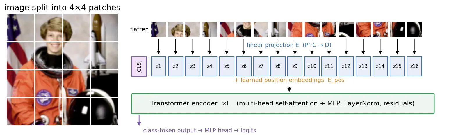 An astronaut image split into a 4 by 4 grid, its 16 patches laid out in a row, each projected to a token z1 to z16, a class token in front, position embeddings added, and a transformer encoder whose class-token output feeds an MLP head