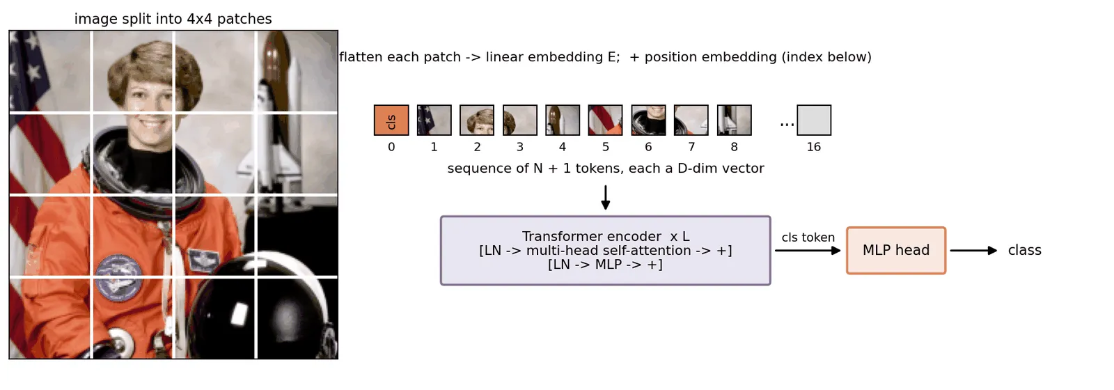 The astronaut image cut into a 4 by 4 grid of patches with a white grid overlay; arrows show the patches flattened into a row of token boxes, each with a position number added, plus a class token in front, entering a box labeled Transformer encoder with L blocks, followed by an MLP head producing a class.