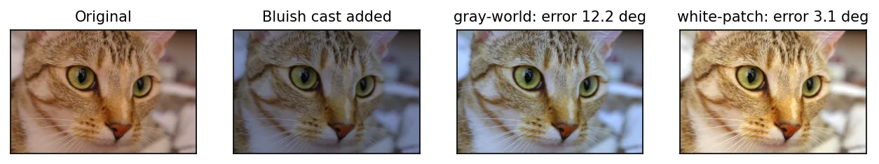 Cat image: original, with a bluish cast, corrected by gray world with 12.2 degree error, and corrected by white patch with 3.1 degree error